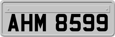 AHM8599
