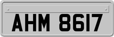 AHM8617