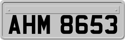 AHM8653