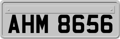 AHM8656