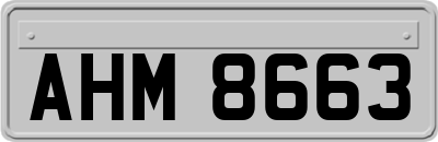 AHM8663