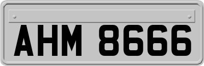 AHM8666