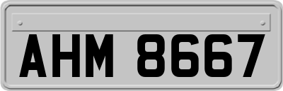 AHM8667