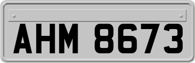 AHM8673