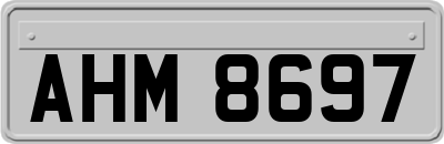 AHM8697