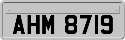 AHM8719