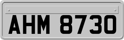 AHM8730