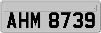 AHM8739
