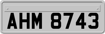 AHM8743