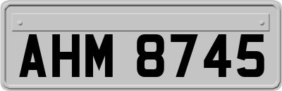 AHM8745