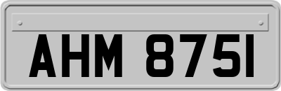 AHM8751