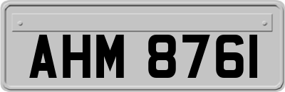 AHM8761