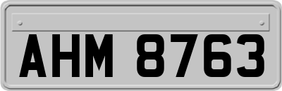 AHM8763