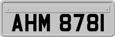 AHM8781