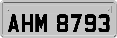 AHM8793