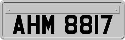 AHM8817
