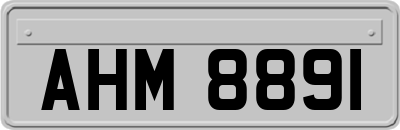 AHM8891