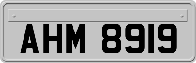 AHM8919