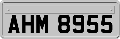 AHM8955