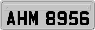 AHM8956