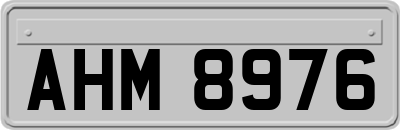 AHM8976