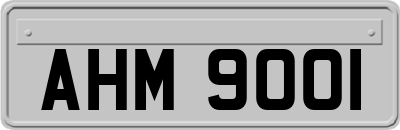 AHM9001