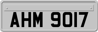 AHM9017