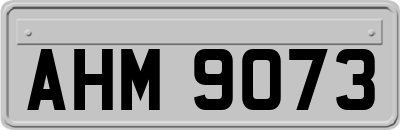 AHM9073
