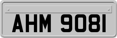 AHM9081