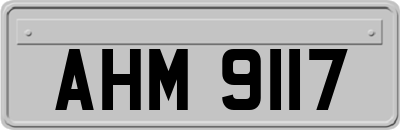 AHM9117