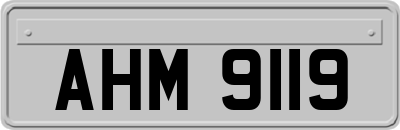 AHM9119