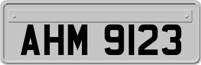 AHM9123
