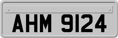 AHM9124