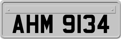 AHM9134