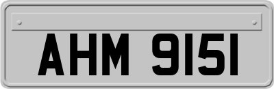 AHM9151