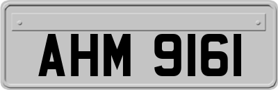 AHM9161