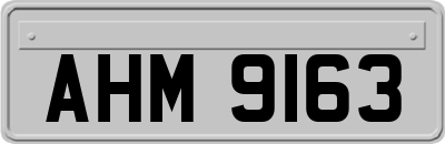 AHM9163