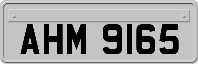 AHM9165