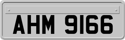 AHM9166