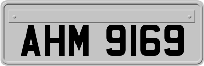 AHM9169