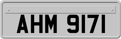 AHM9171