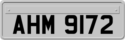 AHM9172