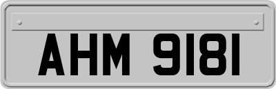 AHM9181