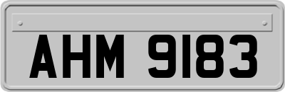 AHM9183