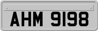 AHM9198