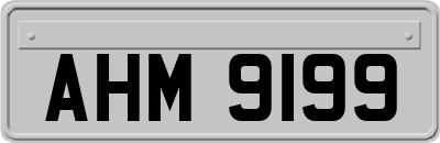 AHM9199
