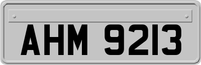 AHM9213