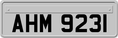 AHM9231