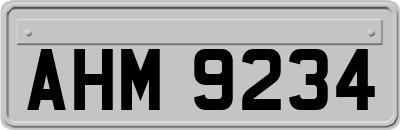 AHM9234