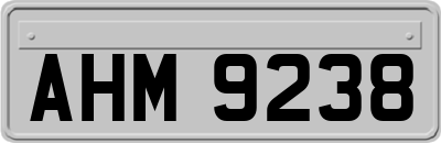 AHM9238